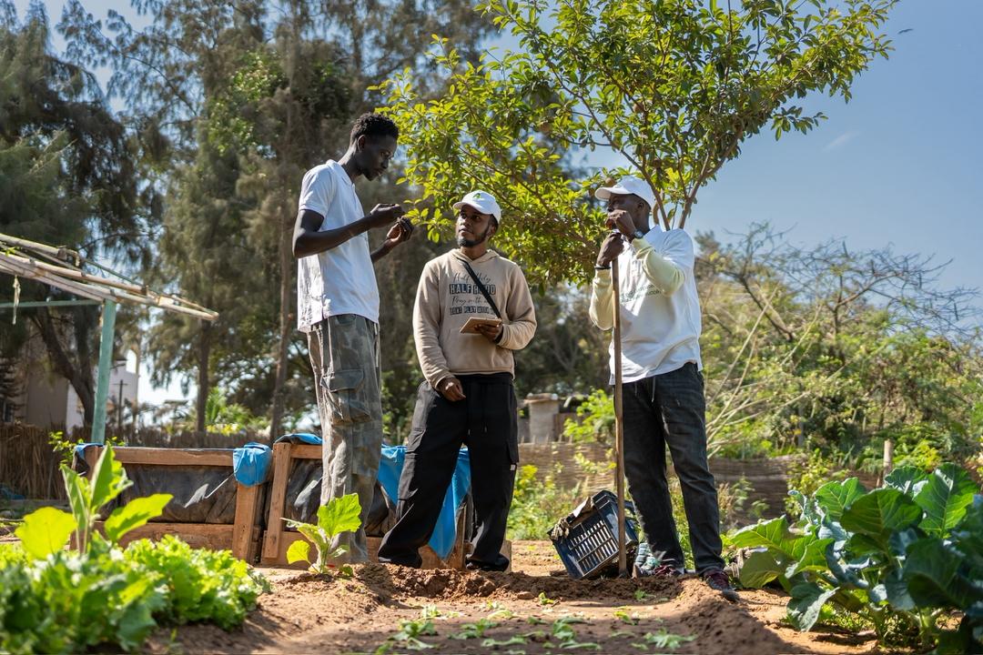 Formation d'agripreneurs en présentiel