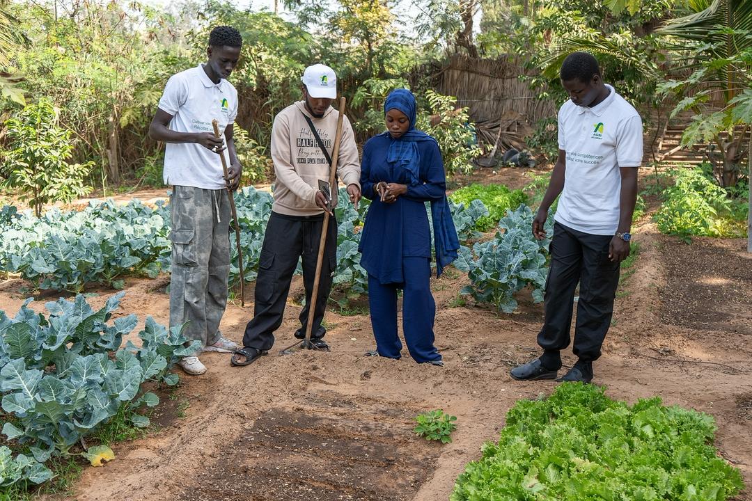 Accompagnement des producteurs dans les champs